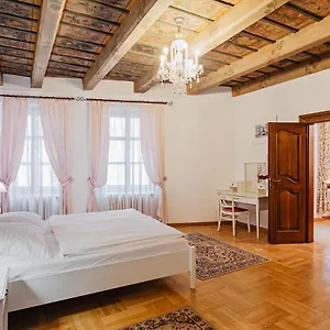 Apartament U Cerneho Medveda- At The Black Bear, Praga